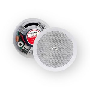 Loa âm trần PEDRO EC-20